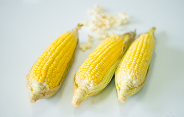 Corn