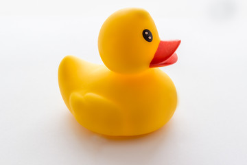 Yellow rubber ducklings on a white background