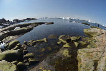 Fototapeta premium Scenic view of the Icebergs on arctic ocean, Greenland