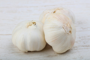 Garlic