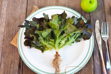 Top view of red oak lettuce on a plate with fork and knife on a wooden table.
