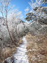 雪化粧した登山道