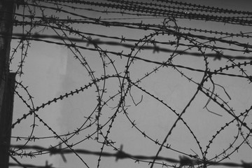 Pattern Barbed wire old 


