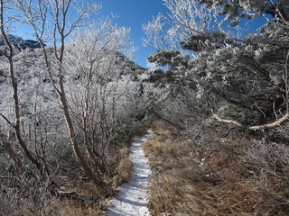 雪化粧した登山道