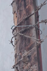 Pattern Barbed wire old 

