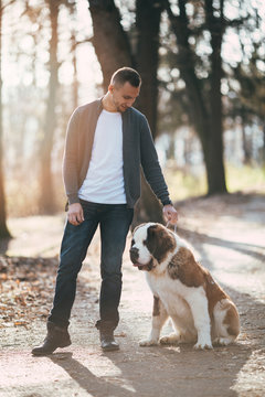 People and dogs. Young handsome man enjoying nature or park outdoors together with his adorable Saint Bernard puppy