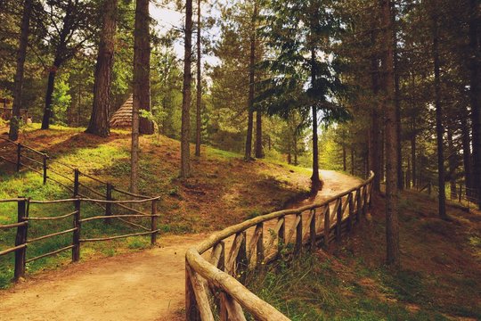 Sentiero escursionistico nel Parco Nazionale della Sila, regione Calabria IT 