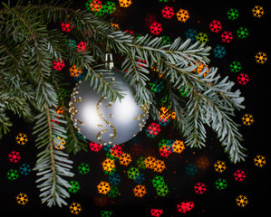 Christmas decorations, spruce branches  on a black background with the artistic bokeh of the colored snowflakes
