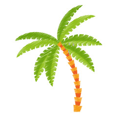 Palm tree icon. Nature plant and summer season theme. Isolated design. Vector illustration