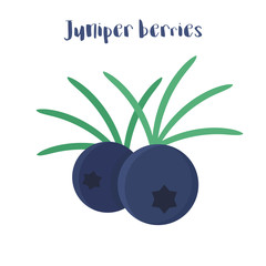 juniper berries isolated on white