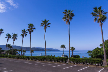 Fototapeta premium 大浜海浜公園