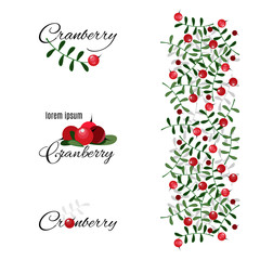 Stylized cranberry labels isolated on a white background. Cute lingonberry icons and ornamental element for your design. Cranberry theme set. Vector illustration