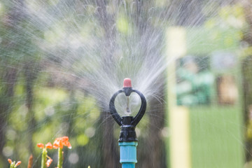 water springer in the garden
