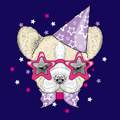 French bulldog in a celebratory cap and funny glasses. Vector illustration. Postcard or poster, print on clothes. A party.