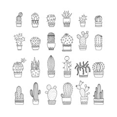 doodle cactus and succulents