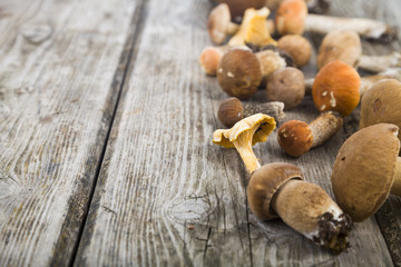 Raw mushrooms on a wooden table. Boletus edulis and chanterelles