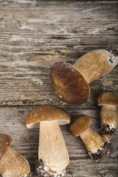 Raw mushrooms on a wooden table. Boletus edulis and chanterelles