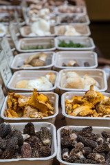 Mushrooms in Market