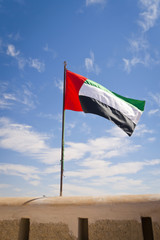 Flag waving during the National Day in UAE