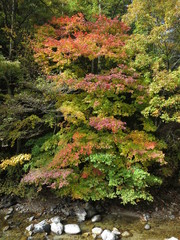 河原と紅葉