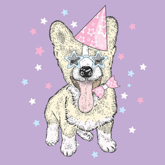 Cute puppy in a celebratory cap and funny glasses. Vector illustration. Postcard or poster, print on clothes. A party.