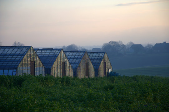 Belgian greenhouses in overijse during sunrise