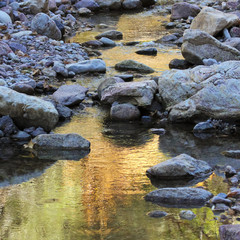Naklejka na ściany i meble A Creek Reflects the Greens and Golds of Fall