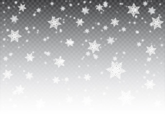 Snowcrystals Transparent