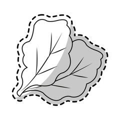 Lettuce icon. Healthy organic fresh and natural food theme. Isolated design. Vector illustration