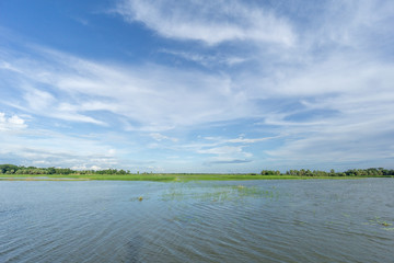 green field and blue sky