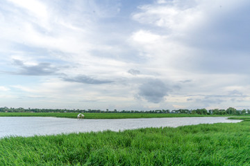 green field and blue sky