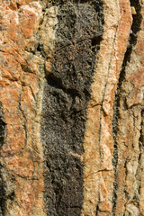 Striped yellow stone