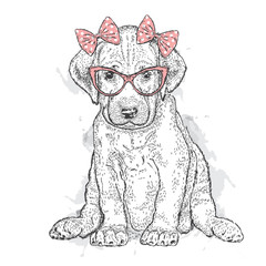 Cute puppy with bows. Illustration for a card or print on clothes. Poster. Vector drawing