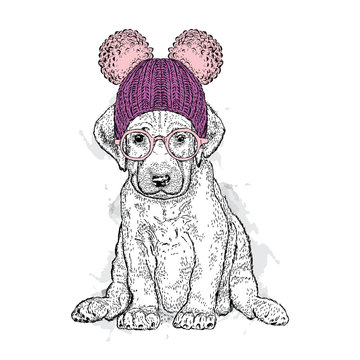 Cute puppy wearing a hat and glasses. Illustration for a card or print on clothes. Poster. Vector drawing