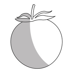 Tomato icon. Healthy organic fresh and natural food theme. Isolated design. Vector illustration