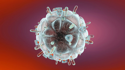 HIV Virus	