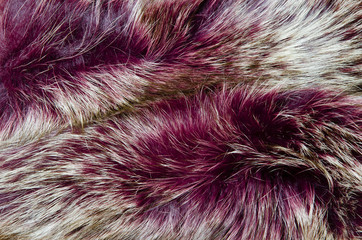 Blue Fox fur