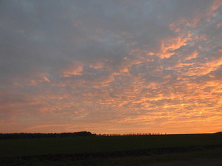 Beautiful sunset. Violet sky.