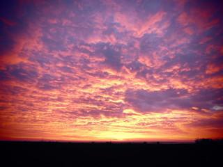 Beautiful sunset. Violet sky.
