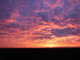 Fototapeta na wymiar Beautiful sunset. Violet sky.