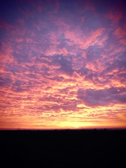 Beautiful sunset. Violet sky.
