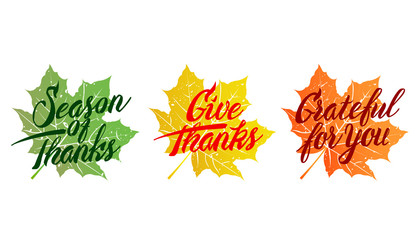  illustration for thanksgiving day calligraphy letters ligo