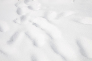 background of fresh snow texture in blue tone