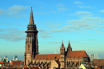 Fototapeta na wymiar Freiburger Münster