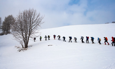 Persone in fila che camminano con le ciaspole in montagna