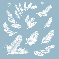 Collection of snow-covered pine branches