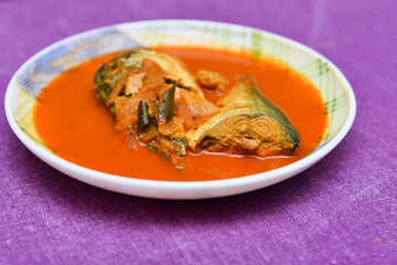 Spicy hot Kerala fish curry Indian food