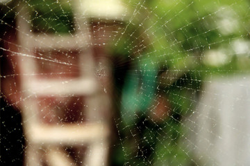 Web closeup. On the back staircase plan.