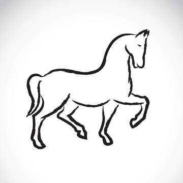 Vector of a horse on white background.