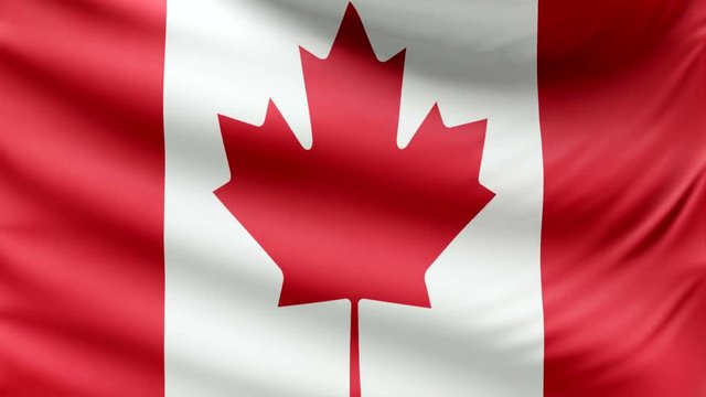 Realistic beautiful Canada flag looping Slow 4k resolution